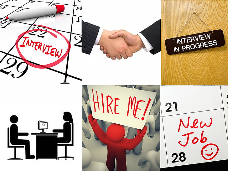 Job Seeking and Interviews
