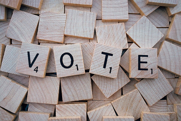 Civics and Voting